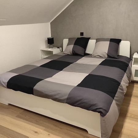 Le Business, Duplex Moderne Special Pro De Passage Apartment Sarreguemines Exterior photo